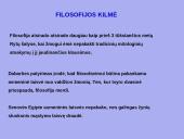 Kokia yra filosofijos samprata? 8 puslapis