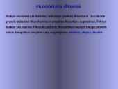 Kokia yra filosofijos samprata? 9 puslapis