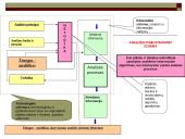 Finansinė analizė ir sintezė 17 puslapis