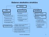 Finansinės atskaitomybės rūšys  2 puslapis