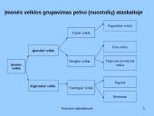 Finansinės atskaitomybės rūšys  4 puslapis