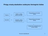 Finansinės atskaitomybės rūšys  7 puslapis