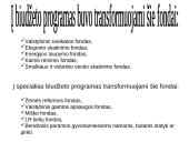 Finansų sistemos veikla 8 puslapis