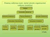 Finansų valdymo turinys. Įmonės finansų valdymo organizacinė struktūra 16 puslapis