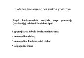 Firmos elgsena tobulos konkurencijos rinkoje 2 puslapis