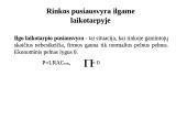 Firmos elgsena tobulos konkurencijos rinkoje 13 puslapis