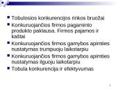 Firmos pelno maksimizavimas tobulosios konkurencijos rinkoje 2 puslapis