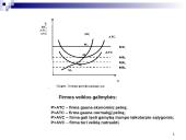 Firmos pelno maksimizavimas tobulosios konkurencijos rinkoje 11 puslapis