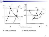 Firmos pelno maksimizavimas tobulosios konkurencijos rinkoje 12 puslapis