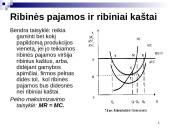 Firmos pelno maksimizavimas tobulosios konkurencijos rinkoje 9 puslapis