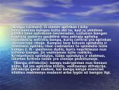 Fizikos dėsniai 5 puslapis