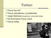Fluxus grupė 2 puslapis