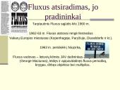 Fluxus grupė 4 puslapis