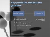 Frančizės vieta šiuolaikiniame verslo pasaulyje 2 puslapis