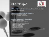 Frančizės vieta šiuolaikiniame verslo pasaulyje 11 puslapis