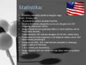 Frančizės vieta šiuolaikiniame verslo pasaulyje 14 puslapis