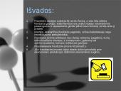 Frančizės vieta šiuolaikiniame verslo pasaulyje 17 puslapis