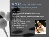 Frančizės vieta šiuolaikiniame verslo pasaulyje 3 puslapis