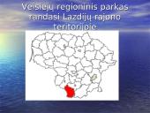 Galimybė plėtoti kaimo turizmą Veisiejų regioniniame parke 2 puslapis