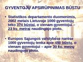 Galimybės pasirinkti ir įsigyti gyvenamąjį būstą Lietuvoje 2 puslapis