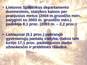 Galimybės pasirinkti ir įsigyti gyvenamąjį būstą Lietuvoje 12 puslapis