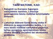 Galimybės pasirinkti ir įsigyti gyvenamąjį būstą Lietuvoje 3 puslapis