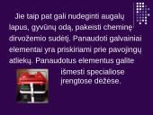 Galvaniniai elementai ir elektrolizės reiškinys 4 puslapis