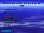 Gamybinio proceso organizavimo principai ir gamybinio proceso apibūdinimas 2 puslapis