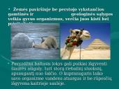 Gamtinė atranka ir jos formos 5 puslapis