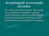 Gamtinė atranka ir jos formos 8 puslapis