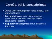 Gamtiniai ištekliai 12 puslapis