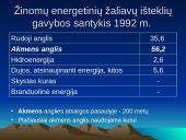 Gamtiniai ištekliai 13 puslapis