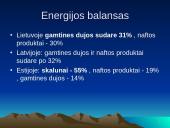 Gamtiniai ištekliai 18 puslapis