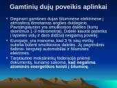 Gamtiniai ištekliai 19 puslapis