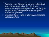 Gamtiniai ištekliai 20 puslapis