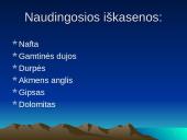 Gamtiniai ištekliai 4 puslapis