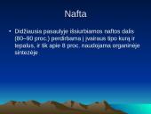 Gamtiniai ištekliai 5 puslapis