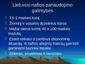 Gamtiniai ištekliai 6 puslapis