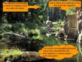 General ecology 2 puslapis