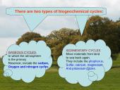 General ecology 11 puslapis