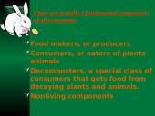 General ecology 3 puslapis