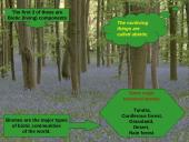 General ecology 4 puslapis