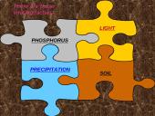 General ecology 6 puslapis