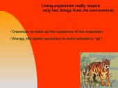 General ecology 7 puslapis