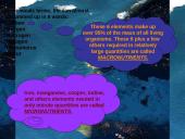 General ecology 10 puslapis