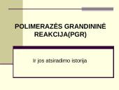 Polimerazės grandininė reakcija (PGR)