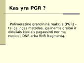 Polimerazės grandininė reakcija (PGR) 2 puslapis