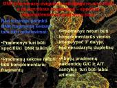 Polimerazės grandininė reakcija (PGR) 11 puslapis