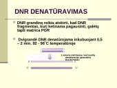 Polimerazės grandininė reakcija (PGR) 12 puslapis