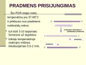 Polimerazės grandininė reakcija (PGR) 13 puslapis